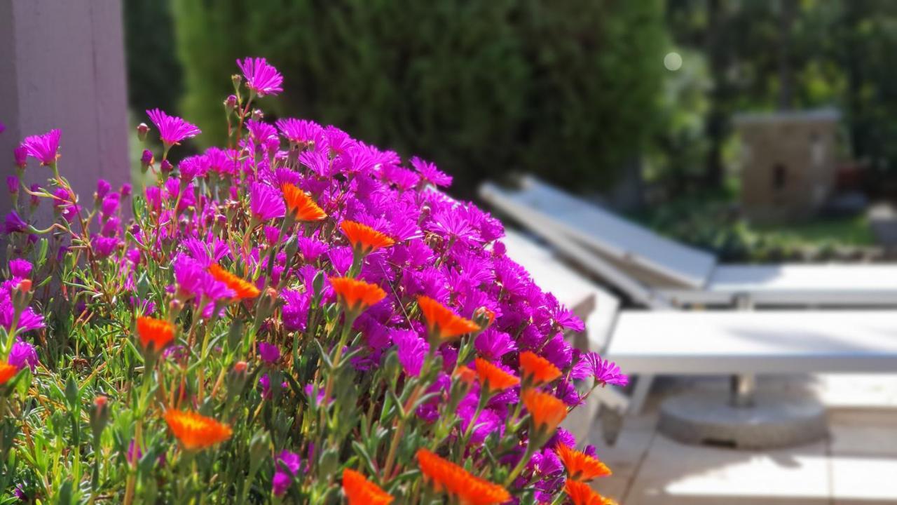 Apulia Time Hotel Бари Екстериор снимка